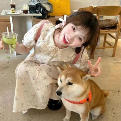 恋爱吧，食梦君！第二季